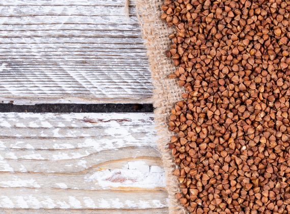 Aquaculture Feed