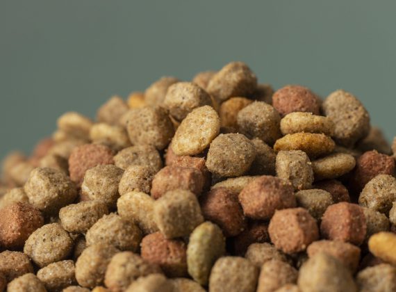 Aquatic Animal Feed