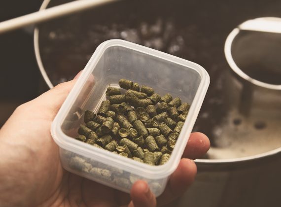 Shrimp Feed