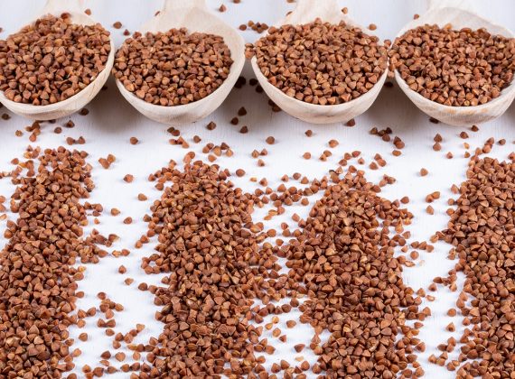 Fish Feed Binder